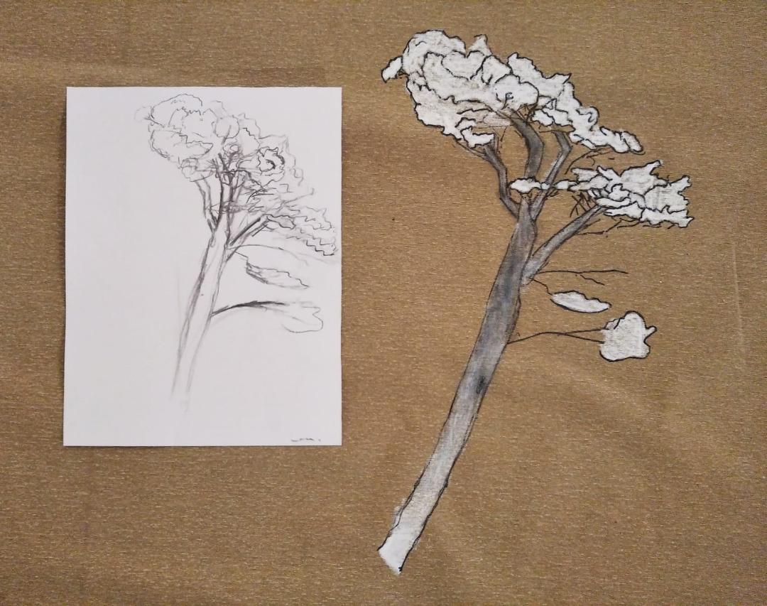 Espai interactiu per dibuixar arbres a l’exposició “Germinació”